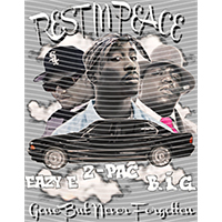 idol singer-GS  1137